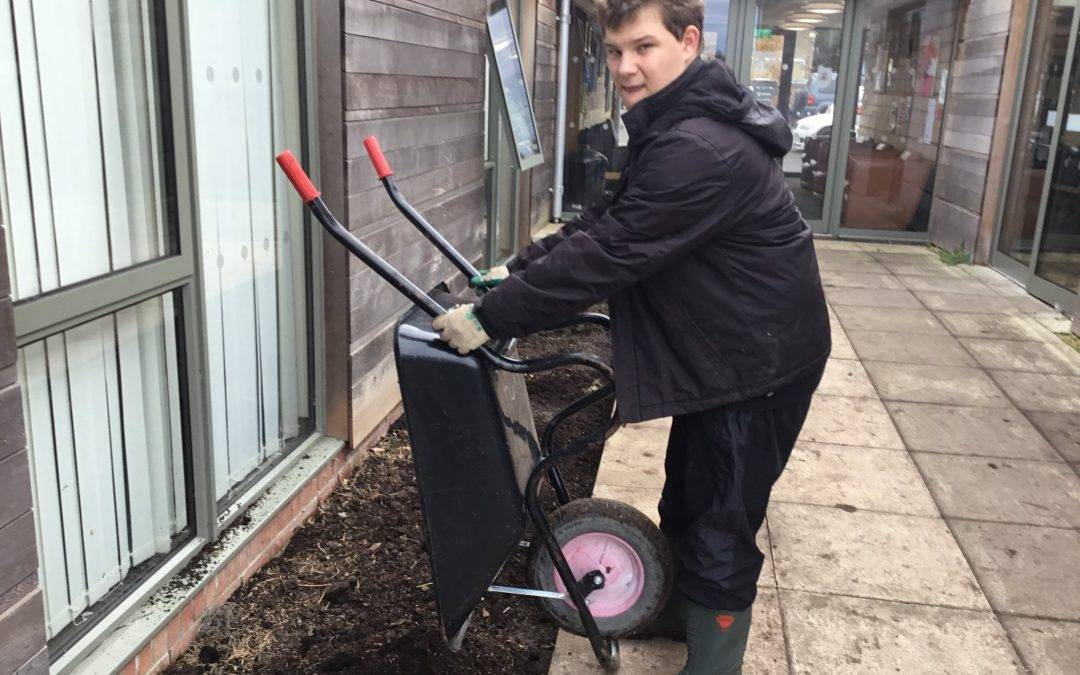 Students getting ‘green fingered’ in Functional Skills